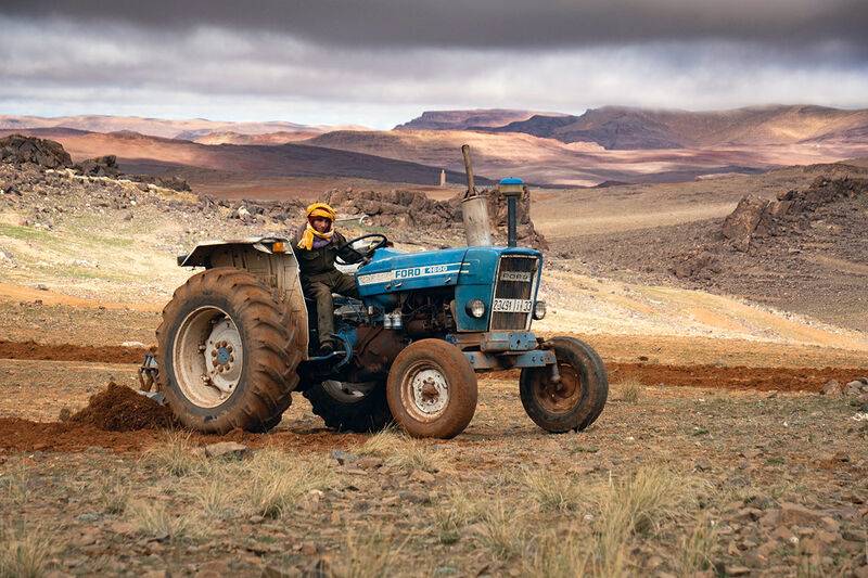 Ich bin ein Alternativtext