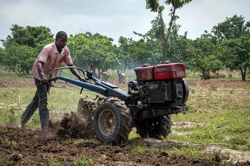 Ich bin ein Alternativtext