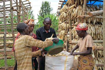 Ich bin ein Alternativtext
