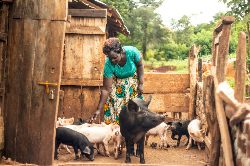 Ich bin ein Alternativtext